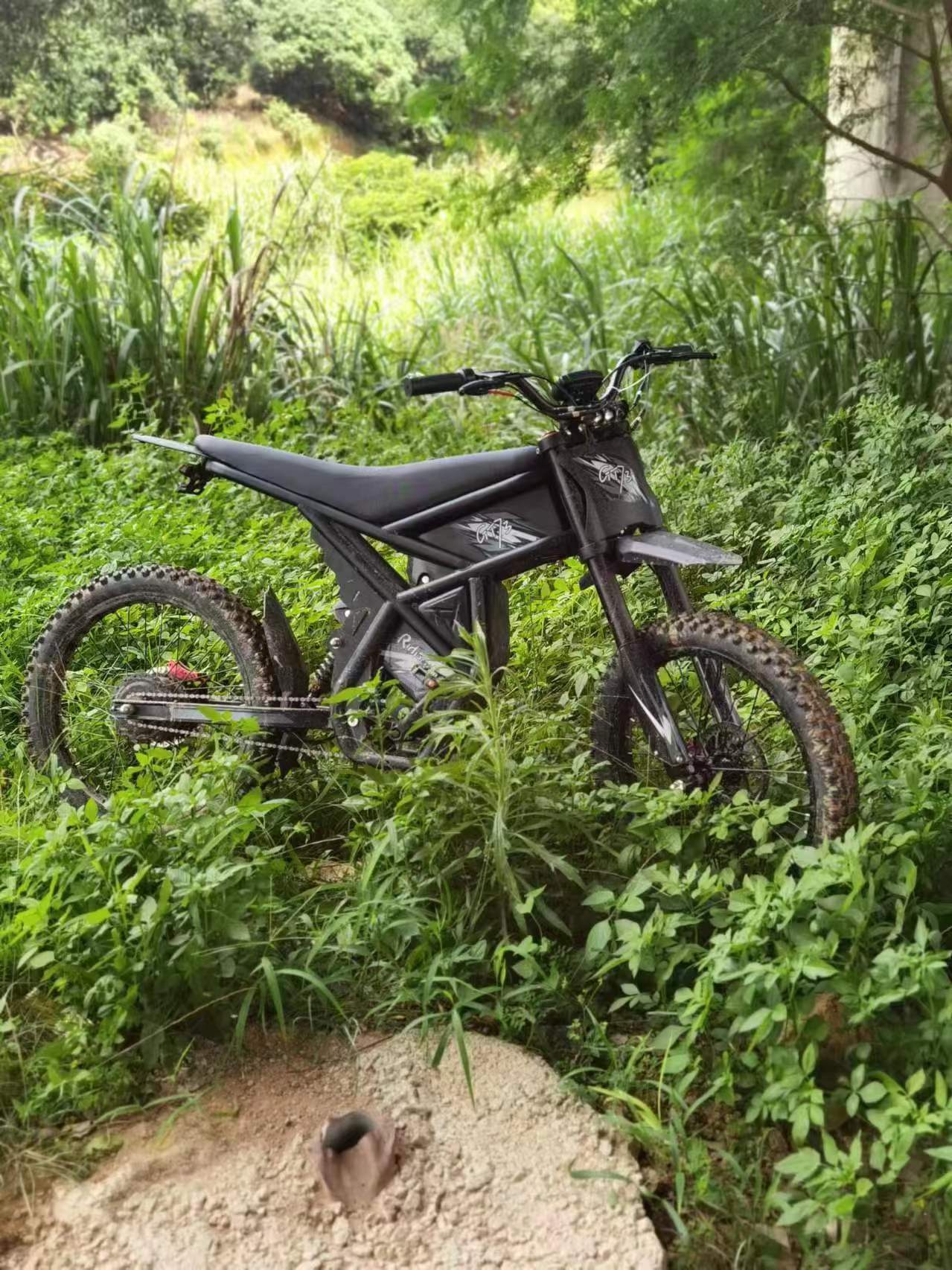 Riding Times GT73 сред зеленина